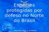 Espécies protegidas por defeso no Brasil