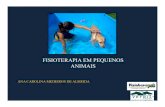 4 - Fisioterapia Em Pequenos Animais