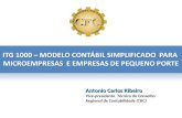 Itg 1000 - Modelo Contabil Simplificado Para Microempresa e Empresa de Pequeno Porte