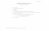 bioenergetica 2.pdf