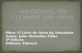 Amazonia, Os Ultimos 500 Anos