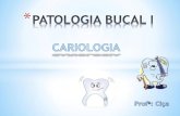 PATOLOGIA BUCAL I  - Cariologia.pdf