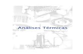 analise termica