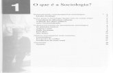 O que é a sociologia? A. Giddens
