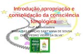 Introdução,apropriação e consolidação da consciência fonológica-Seminário-PNAIC