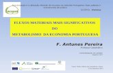 Fluxos Materiais Mais Significativos Do Metabolismo Da Economia Portuguesa