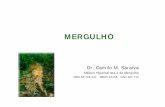AULA - Mergulho - Camilo - In