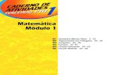 1 matemática   exercícios resolvidos - 01 m2 geometria métrica plana