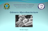 Mycobacteruim tuberculosis - Renato Varges