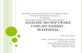 Apresentação Análise do Software Coelho Sabido