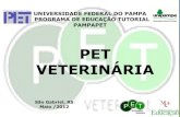 Apresentação pet veterinária