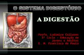 O Sistema Digestório