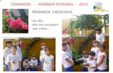 Conhecer - Horário Integral - 2012