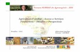 Agricultura familiar   acesso a serviços financeiros – desafios e perspectivas - adoniram sanches