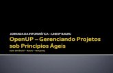 Open Up – Gerenciando Projetos Sob Principios Ágeis