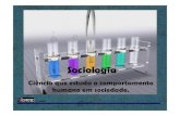 Sociologia - Projeto Travessia 2011/2012