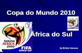 Copa do mundo 2010 africa   4 º ao 5 º anos