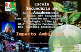 Impacto Ambiental (DR3 NG7)