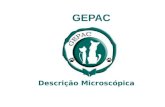 Gepac Micro