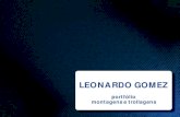Portifolio Leonardo Gomez