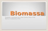 Trabalho Sobre Biomassa Power Point