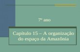 IECJ - Cap. 15 - A organização do espaço na Amazônia