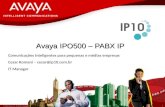 Avaya Ipo500 Ip10 Presentation