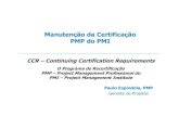 Categorias para PDUs da certificação PMP