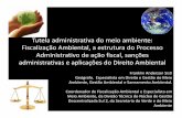 Processo administrativo fiscalização_ambiental_sisti_2012
