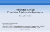 Hacking Linux: Princípios Básicos de Segurança - Bruna Griebeler