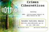 2009 11 - crimes cibernéticos