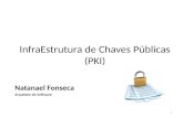 Infra Estrutura de Chaves Publicas(PKI)