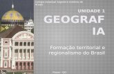 Geografia: Formação territorial e regionalismo do Brasil, O meio técnico-científico-informacional