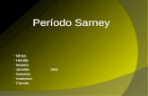 Período Sarney - 3M2 - G4