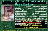 Curso de Introdução à Fitoterapia Brasileira