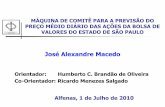 Apresentação Monografia - Máquina de Comitê para previsão do preço médio diário das ações da BOVESPA