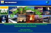 "Proposta de Estrutura para a Indústria do Gás Natural no Brasil"