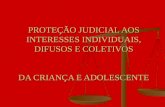 PROTEÇÃO JUDICIAL AOS INTERESSES INDIVIDUAIS, DIFUSOS E COLETIVOS