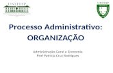 Processo administrativo: organização