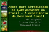 II WSF, São Paulo - Jair Virginio - Ações para Erradicação da Cydia pomonella no Brasil – A experiência da Moscamed Brasil
