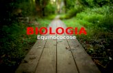 Seminario de Biologia - Equinococose