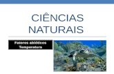 Ciências naturais   factores abióticos (temperatura)
