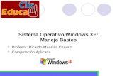 Manual Windows 01