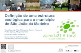 Definição de uma estrutura ecológica para o municipio de São João da Madeira