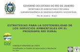 Estrategias para la sostenibilidad de los servicios ambientales en el programa Rio Rural