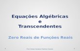 Equações Algébricas e Transcendentes - Método da Bisseção - @professorenan