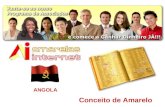 Amarelasinternet Angola oportunidade de negocio