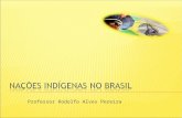 Nações indígenas no brasil