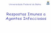 Resposta a infecções pdf