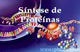 Bioquímica   síntese de proteínas